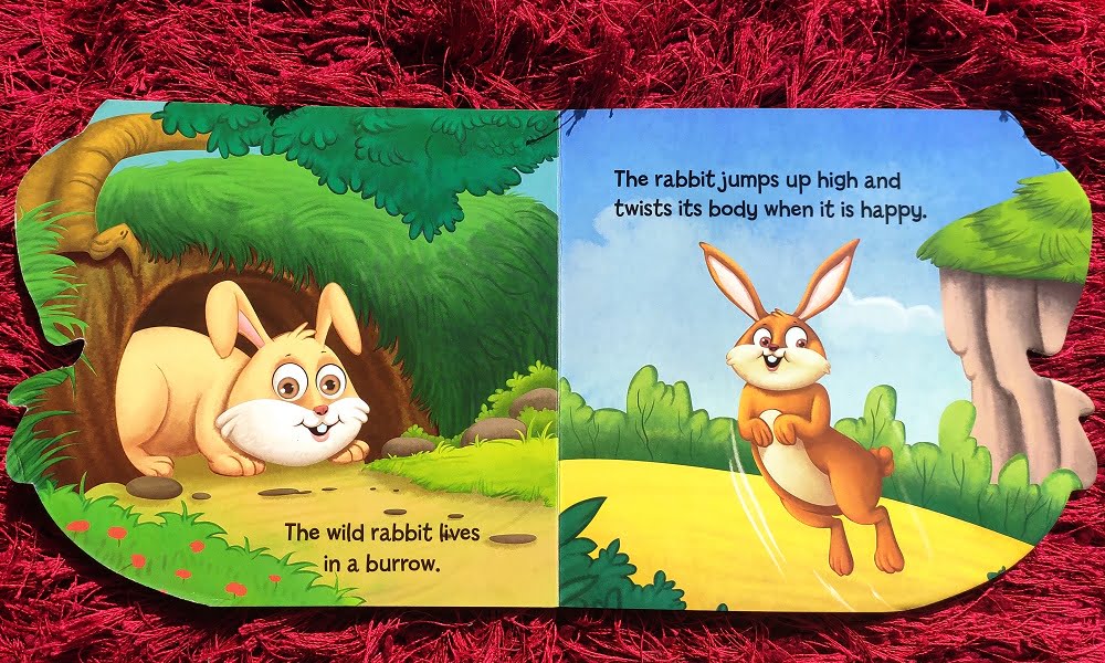 Another books we ordered for our kid was these cute cut out board books. These books seems to be a good way to teach kids about the various animals or objects. Here are few pictures and our review of this book:
