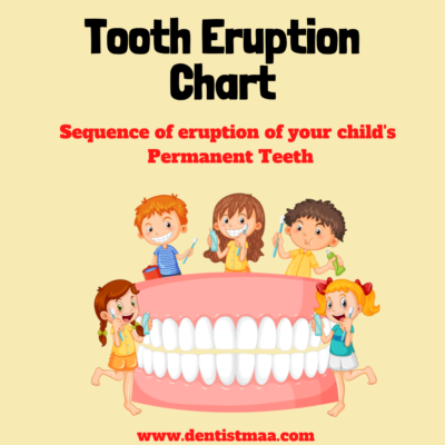tooth eruption chart, permanent teeth