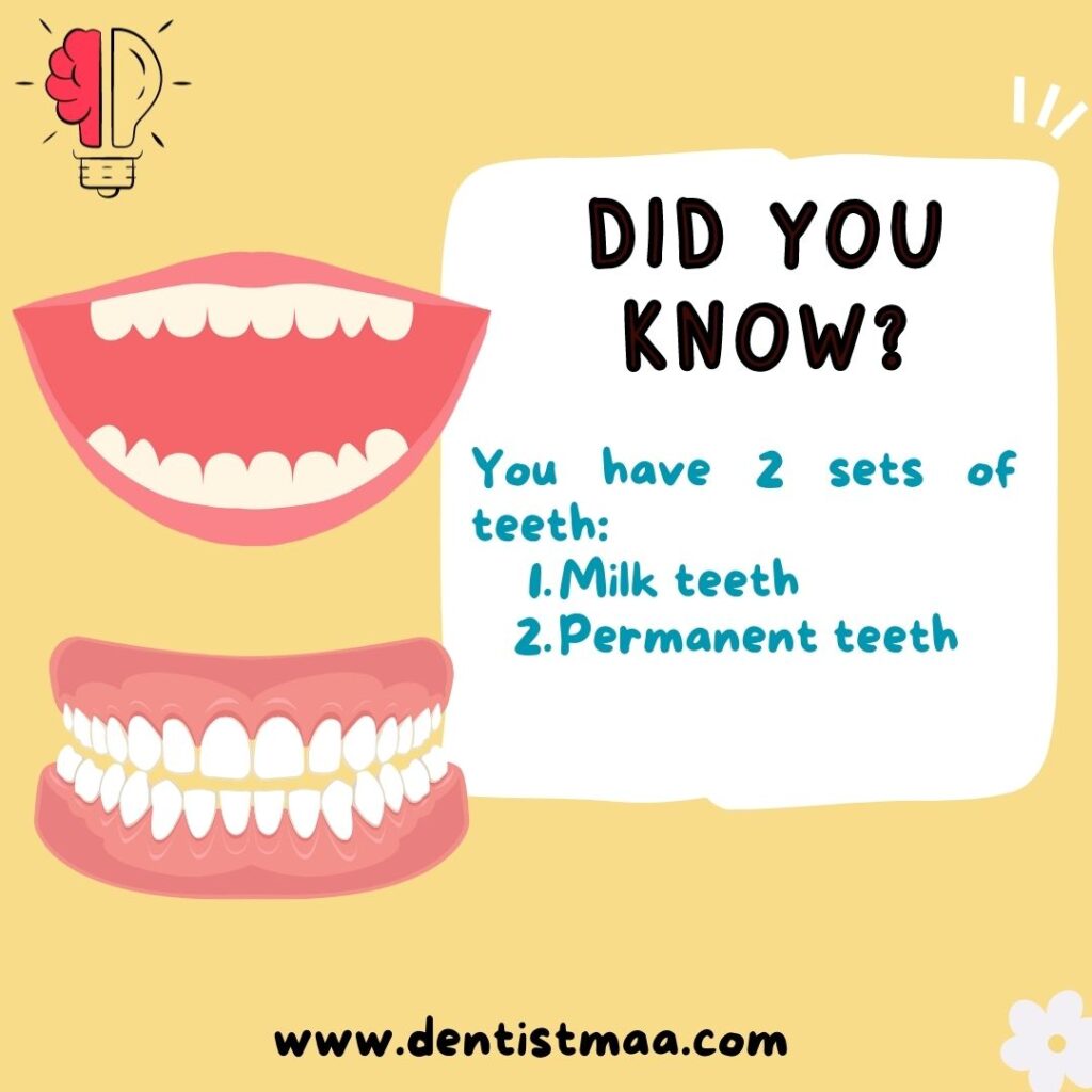did you know, 2 sets of teeth, milk teeth, baby teeth, permanent teeth,